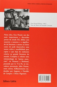 ABC da Literatura: Desvende os Segredos da Grande Escrita com Ezra Pound - imagem 3