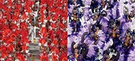 Carnavais do Brasil: 152 Fotos Icônicas da Maior Festa Popular do Mundo - imagem 5