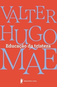 Educação da Tristeza: Reflexões Íntimas de Valter Hugo Mãe sobre Luto e Vida - imagem 2