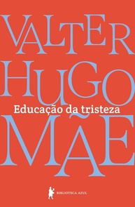 Educação da Tristeza: Reflexões Íntimas de Valter Hugo Mãe sobre Luto e Vida - imagem 1