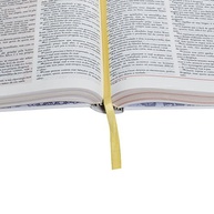 Bíblia das Descobertas NTLH: Explore a Palavra de Deus com Facilidade - imagem 5