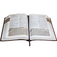 Bíblia das Descobertas para Adolescentes NTLH - Capa Couro Sintético Marrom Claro | SBB - imagem 5