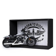 Kit Presente Motociclista: Miniatura Harley-Davidson Oficial, Expositor e Quadro Exclusivo - imagem 5