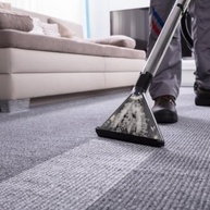 Removedor de Manchas Bactricida 7 em 1 para Carpetes, Tapetes, Sofás e Estofados - Bactran 1,5L Vonixx - imagem 4
