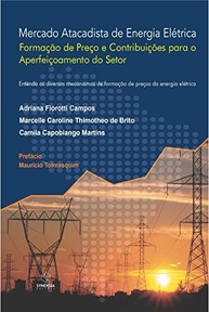 Mercado Atacadista de Energia Elétrica: Domine a Formação de Preço e Inove - imagem 2