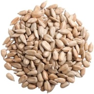 Semente de Girassol sem casca (1kg) - imagem 4