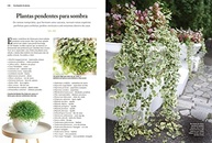 Planta Certa para o Lugar Certo: Guia Essencial de Raul Cânovas - imagem 5