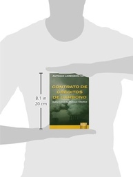 Contrato de Créditos de Carbono: Desvendando o Mecanismo de Desenvolvimento Limpo - imagem 4