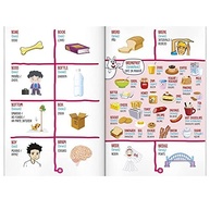Scottini 1300 Palavras em Inglês: Aprenda Vocabulário de Forma Divertida e Eficaz - imagem 3