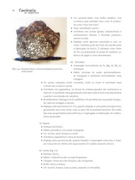 Geologia de Engenharia: Domine os Fundamentos para Obras Seguras e Eficientes - imagem 5