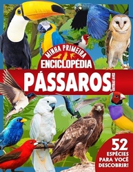 Minha Primeira Enciclopédia de Animais: Um Mundo de Pássaros para Pequenos Exploradores - imagem 2