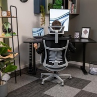 Cadeira de Escritório Ergonômica Premium Vertta Pro com Encosto Lombar e Apoio de Cabeça Ajustável - imagem 3