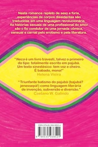 Neca: Romance em Bajubá - A Voz Única de Amara Moira - imagem 3