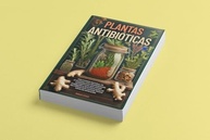 Plantas Antibióticas: Descubra o Poder Natural de Cura - imagem 4