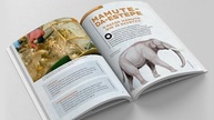Mundo Animal Era do Gelo: Descubra Criaturas Fascinantes de um Passado Congelado - imagem 4