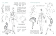 Domine o Desenho de Personagens: Guia Completo de Anatomia Artística - imagem 5