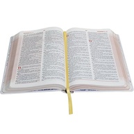 Bíblia das Descobertas NTLH: Explore a Palavra de Deus com Facilidade - imagem 4