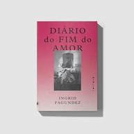 Diário do Fim do Amor: A Cura pela Escrita e a Literatura Feminina - imagem 4