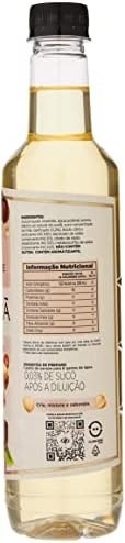 Dilute Xarope Avelã 500Ml - imagem 2