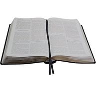 Bíblia de Estudo do Expositor: Compreenda as Escrituras com Comentários Exclusivos - imagem 4