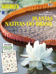 Superpôster: As Mais Belas Flores Nativas do Brasil - Arte Exclusiva 92x60cm - imagem 1