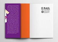 O Raul Que Me Contaram: A Biografia Definitiva do Maluco Beleza - imagem 4