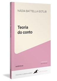 Teoria do Conto: Guia Essencial para Entender a Narrativa Curta - imagem 3