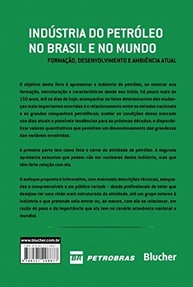 Indústria do Petróleo no Brasil e Mundo: Desvende sua Formação e Futuro - imagem 3