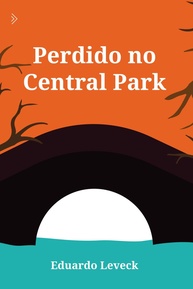 Perdido no Central Park: Romance Dramático sobre Autodescoberta e Amor em Nova York - imagem 1