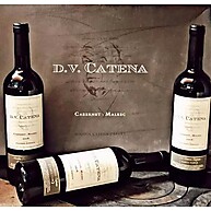 DV Catena: 6 Vinhos Argentinos Cabernet Malbec - imagem 1