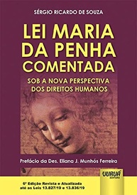 Lei Maria da Penha Comentada: Direitos Humanos e Atualizações Essenciais - imagem 2