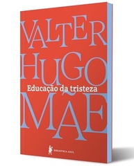 Educação da Tristeza: Reflexões Íntimas de Valter Hugo Mãe sobre Luto e Vida - imagem 4