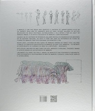 Manual de Animação: Domine Métodos Clássicos e Digitais - imagem 3