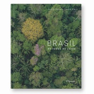 São Paulo Antes e Depois: Uma Viagem Visual no Tempo - imagem 3