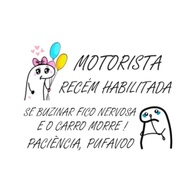 Adesivo Motorista Recém Habilitada: Dirija com Confiança e Segurança! - imagem 2
