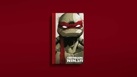 Tartarugas Ninja: Edição Absoluta Vol. 1 (IDW) - A Origem Lendária! - imagem 4
