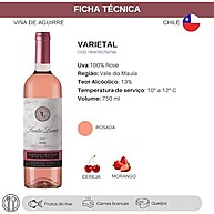 Vinho Rosé Chileno Santa Loreto 750ml: Elegância Refrescante - imagem 2