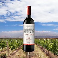 Vinho Tinto Francês Tonéletce: Sabor e Elegância 750ml - imagem 3