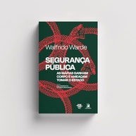 Segurança Pública em Xeque: O Avanço das Máfias e o Risco de Tomada do Estado - imagem 3