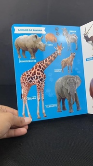 Minha Primeira Enciclopédia de Animais: Descubra os Incríveis Mamíferos! - imagem 4