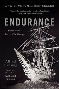 Endurance: A Incrível Jornada de Shackleton - Aventura Épica no Polo Sul - imagem 2
