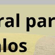 Blokus 60: Sal Mineral Maciço para Equinos - imagem 2