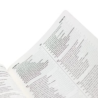Bíblia Bilíngue Português (NAA) - Inglês (ESV): Estude e Compare as Escrituras - imagem 5