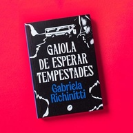 Gaiola de Esperar Tempestades: Uma Jornada de Memórias e Redescoberta - imagem 3