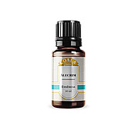 Essência de Alecrim Coala 10ml: Bem-Estar e Aroma - imagem 1