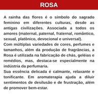 Essência Rosa Calmante e Relaxante para Aromatizador de Ambiente - 10ml - imagem 5