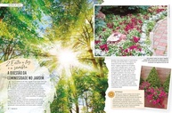 Revista Natureza 445: O Guia Essencial para o Jardim Perfeito e Mais! - imagem 5