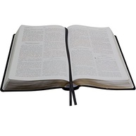 Bíblia de Estudo do Expositor: Compreenda as Escrituras com Comentários Exclusivos - imagem 3