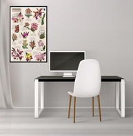 Pôster Orquídeas Catleias: Arte Botânica Exclusiva 50x70cm - imagem 4