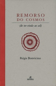 Remorso do Cosmos: Poesia que Explora o Universo e a Existência Humana - imagem 1